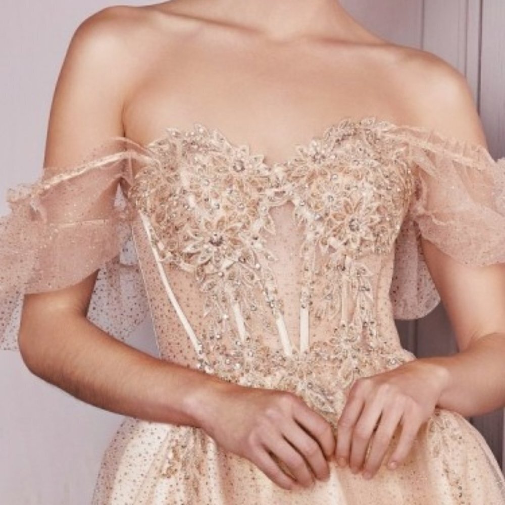 NEW MIDI FLORAL TULLE EMBROIDERED DRESS WITH PUFF SLEEVES AND ZIPPER BACK CD0187 - Picture 10 of 11